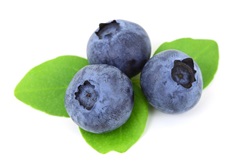Blaubeeren