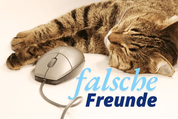 Falsche Freunde - Wörter die man nicht verwechseln sollte